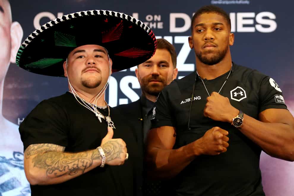 Anthony Joshua suffered the first defeat of his professional career against Andy Ruiz in June (PA Images)