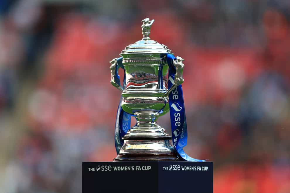 Manchester City are the current holders of the FA Cup (PA Images)