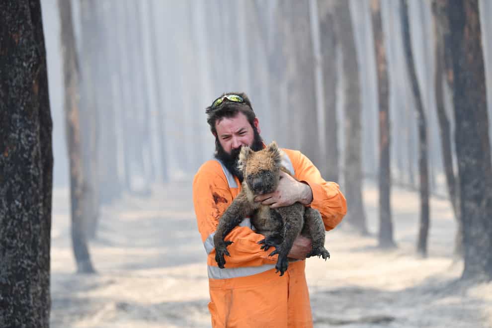 Thousands of animals have been caught up in the bushfires, including koalas and kangaroos (PA Images)