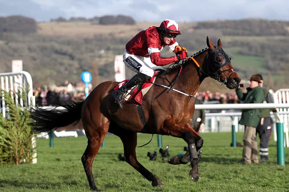 Tiger Roll will not get the chance to challenge for his third Grand National in a row in April (PA Images)