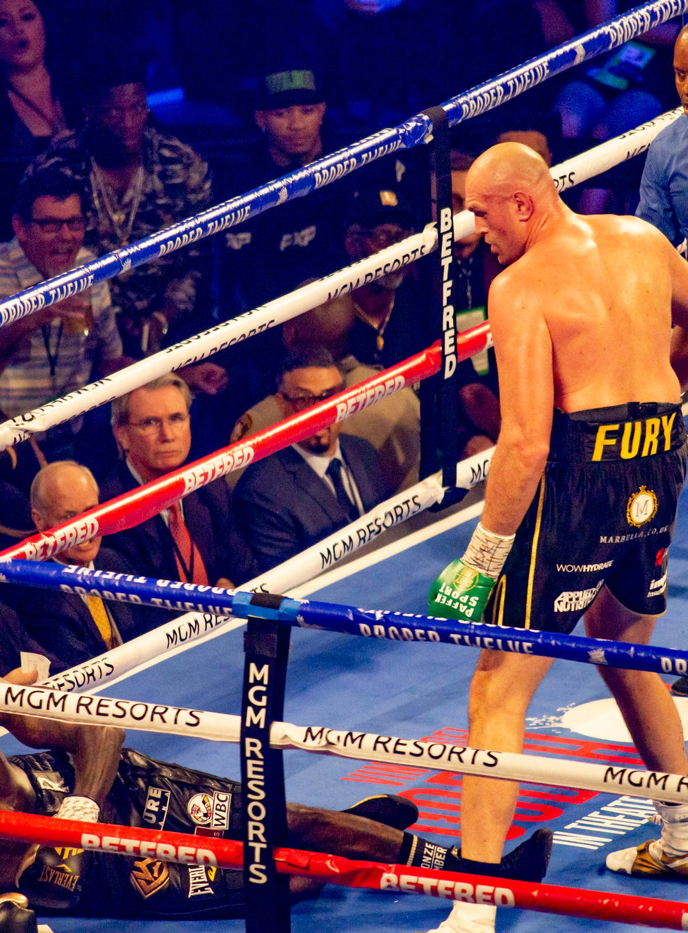 Fury destroyed Deontay Wilder in seven rounds in February (PA Images)