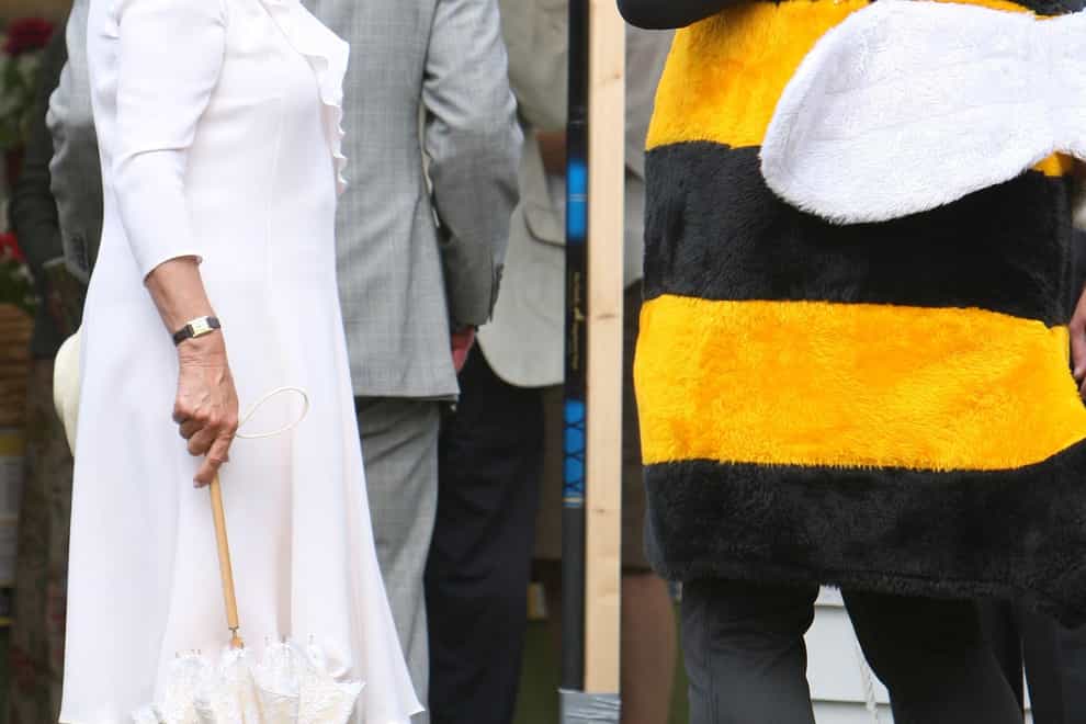 The Duchess of Cornwall meets a man dressed as a Bumble Bee at the Sandringham Flower Show in 2008