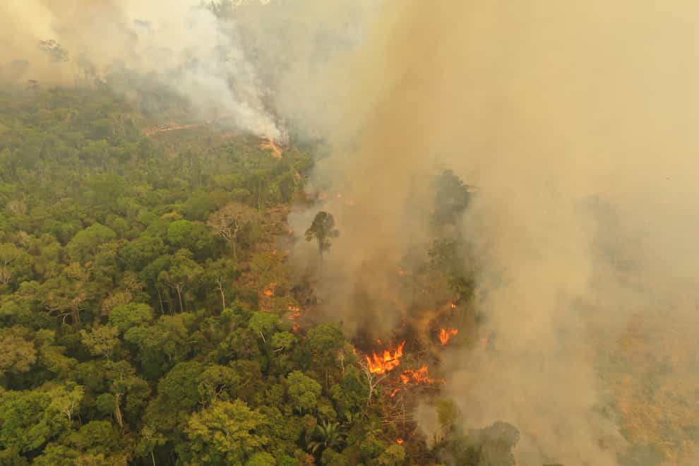A fire in the Amazon rainforest