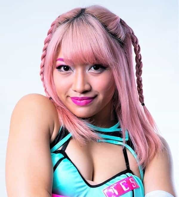 The Japanese government is looking into cyber-bullying laws following Hana Kimura's death