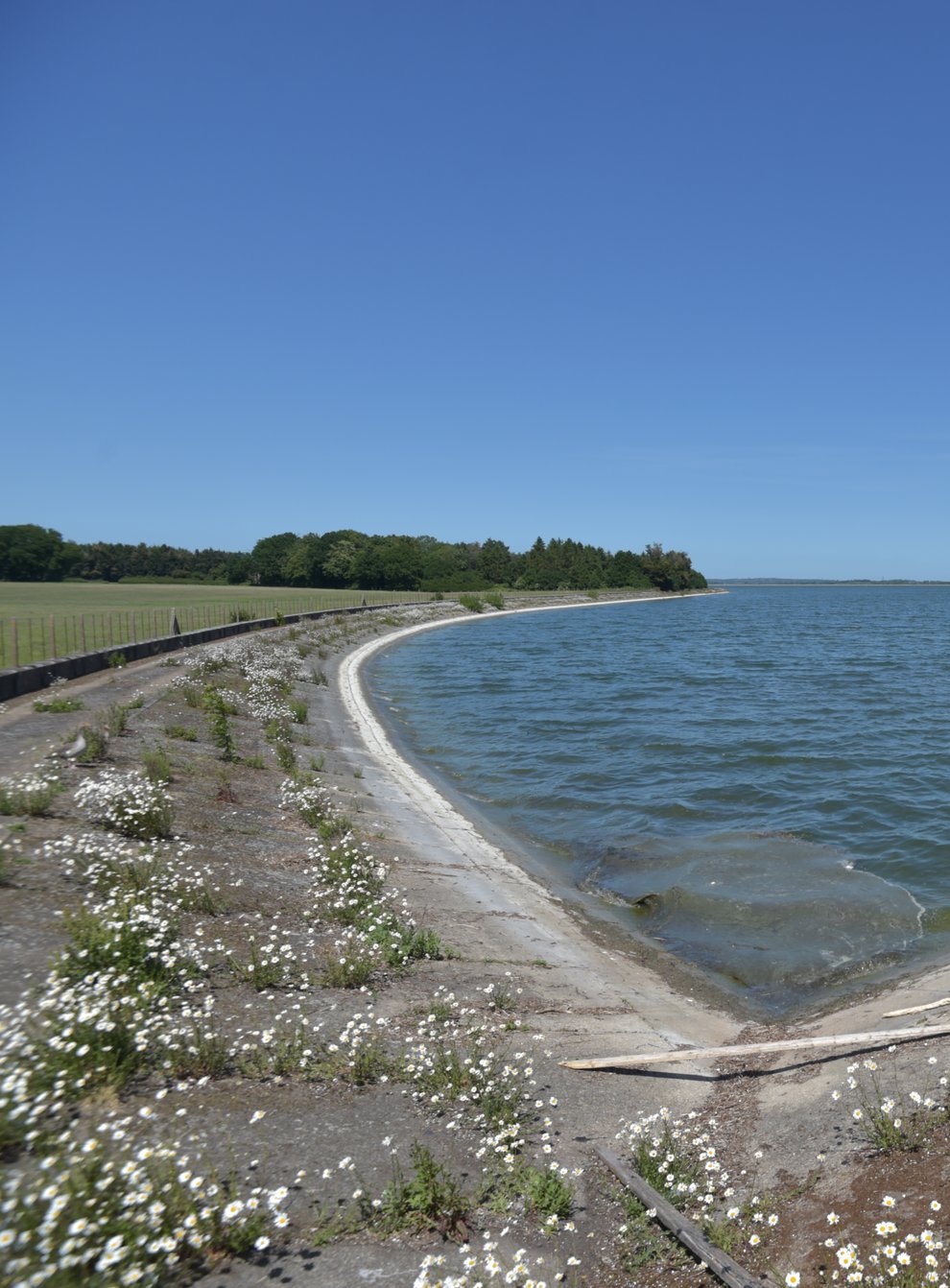 Hanningfield reservoir