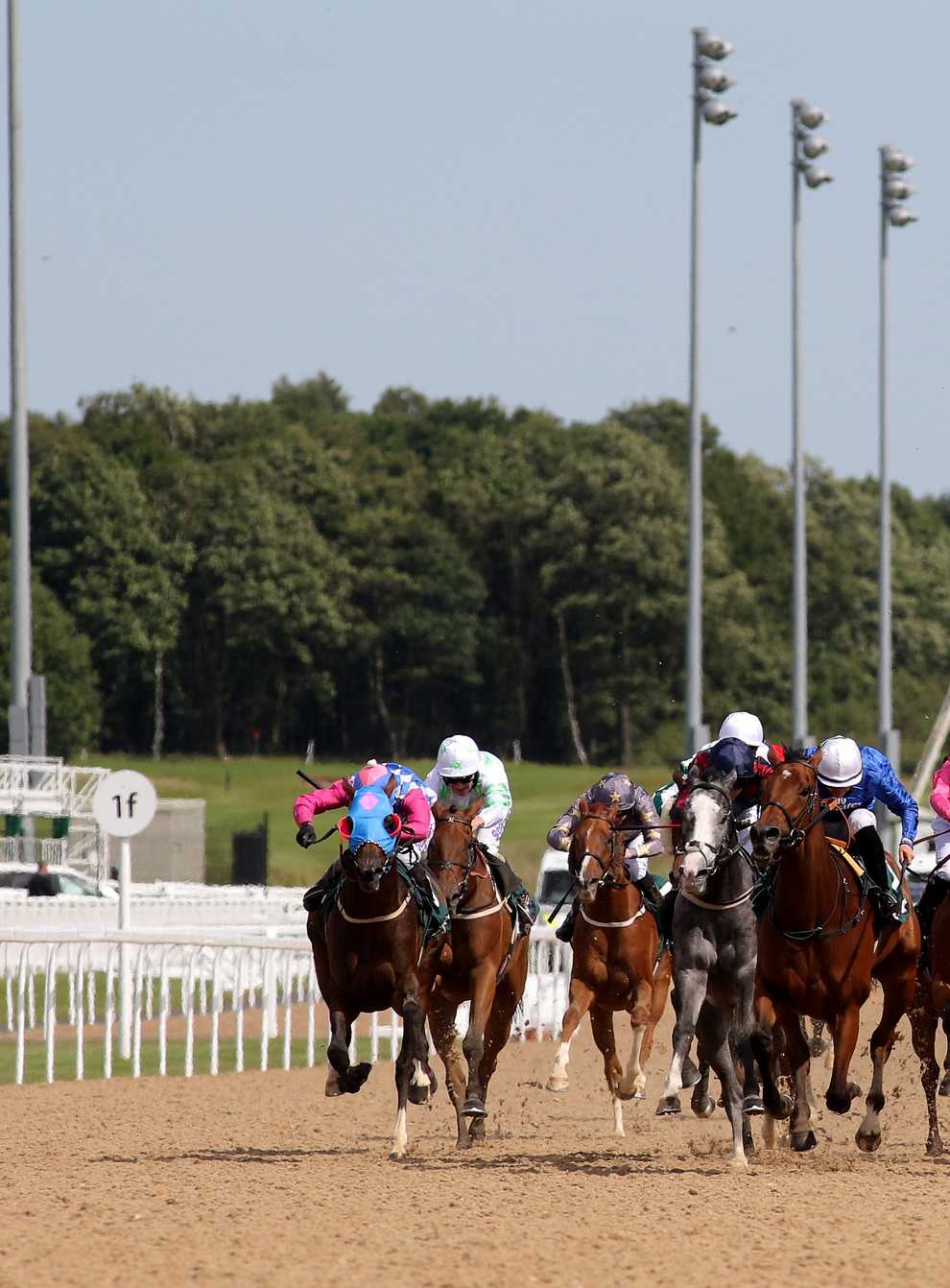 Racing returns at Newcastle on Monday