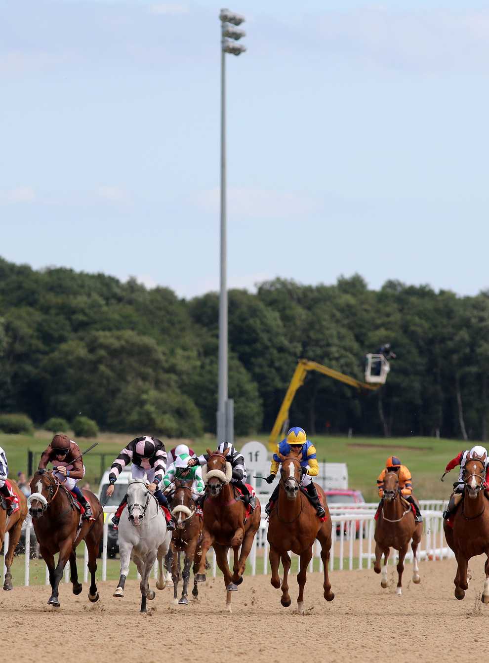 Racing returns at Newcastle on Monday