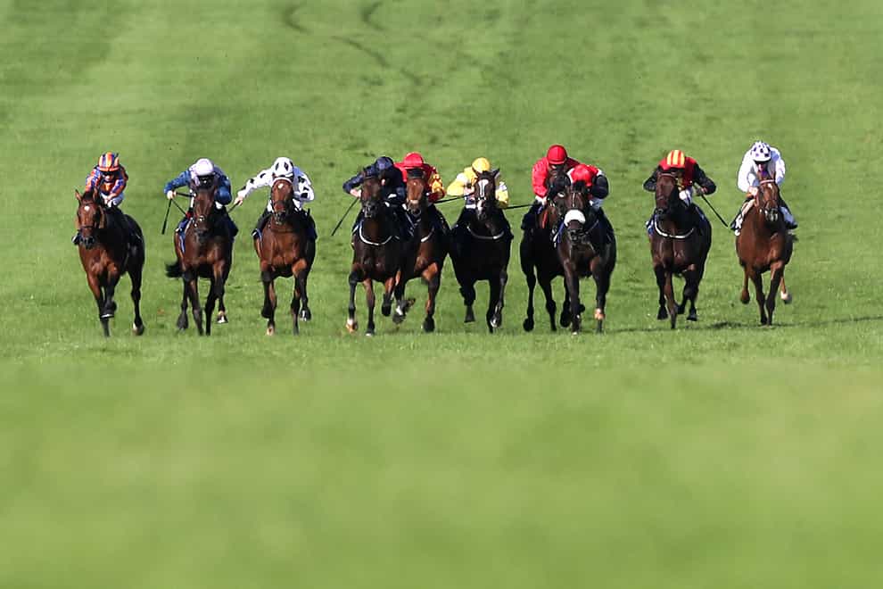 Runners and riders in action during the Renaissance Stakes at Naas 