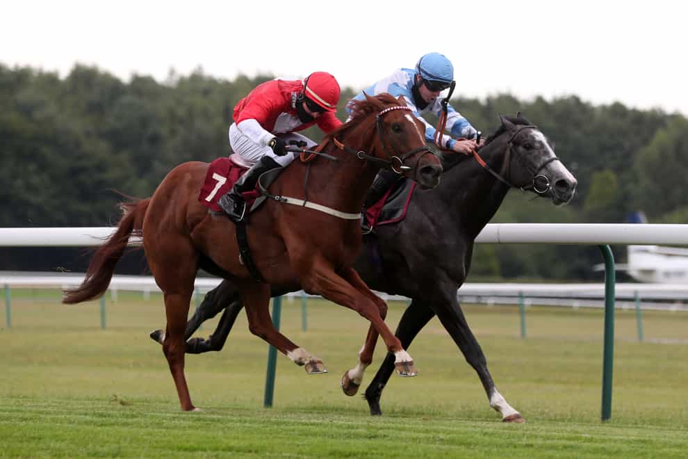 Rogue Assassin (left) kick-started a double for trainer Tom Clover at Haydock