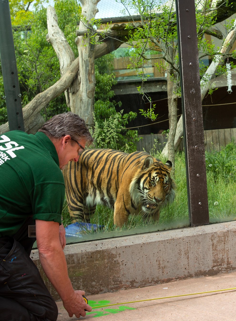 London Zoo has been preparing social distancing measures (ZSL/PA)