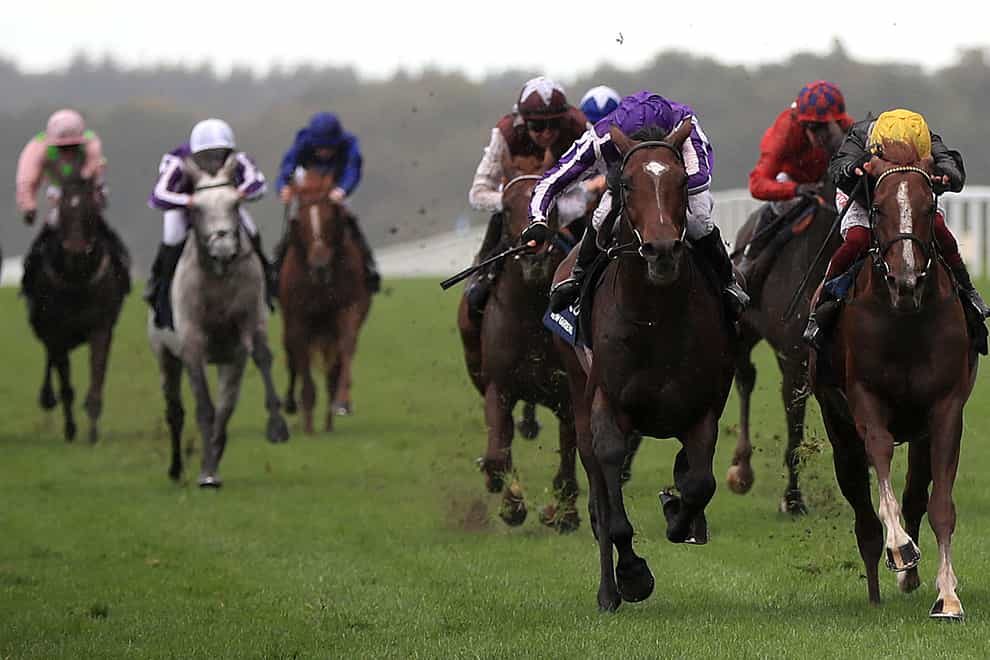 Kew Gardens and Stradivarius fought out a thrilling finish at the end of last year