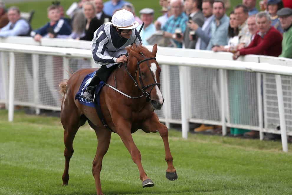 Albigna goes for Classic gold at the Curragh on Saturday