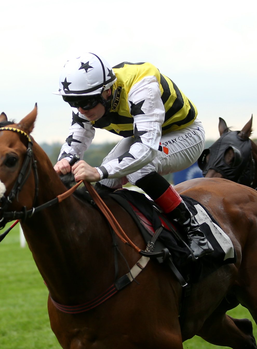 Dakota Gold will bid for Listed glory in the Betway Achilles Stakes at Lingfield