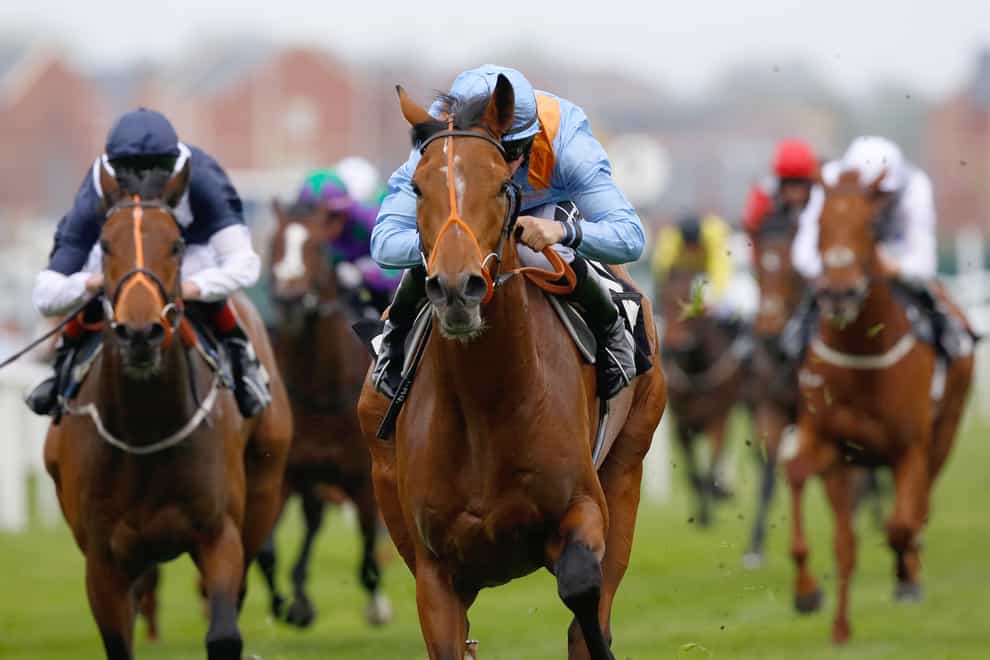 Raymond Tusk will have one more run before heading to the SkyBet Ebor at York