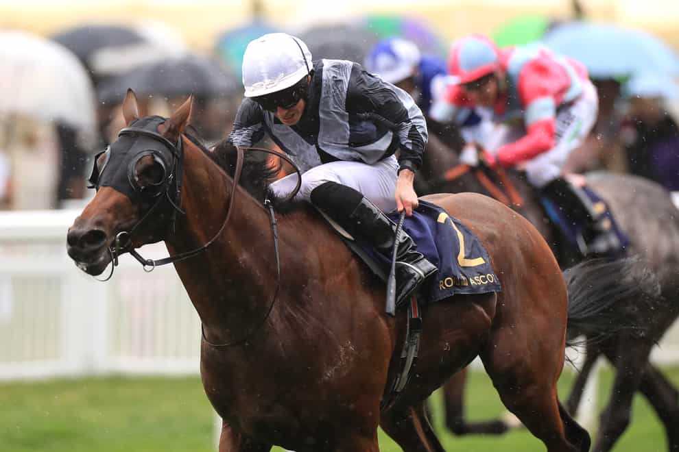 Circus Maximus winning last year's St James's Palace Stakes