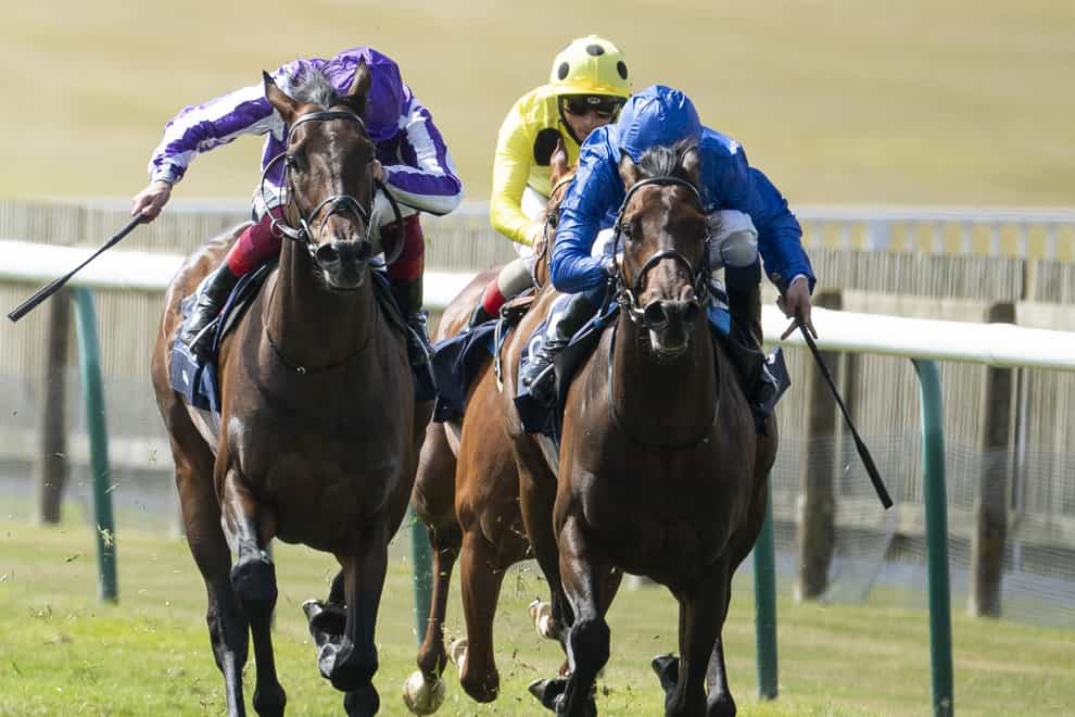 Wichita (left) and Pinatubo (right) will do battle again in the St James's Palace Stakes