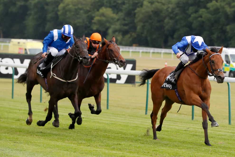 Elarqam (left) just failed to reel in Lord North at Haydock
