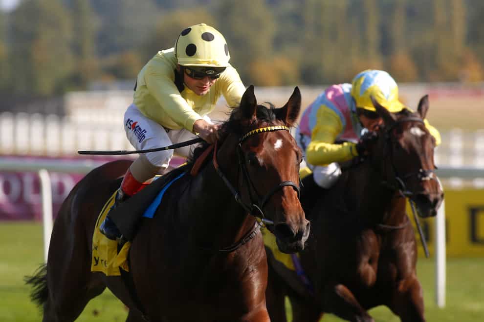 Pierre Lapin (left) leads the way in the Commonwealth Cup betting