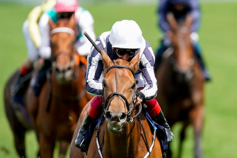 Alpine Star was crowned in the Coronation Stakes