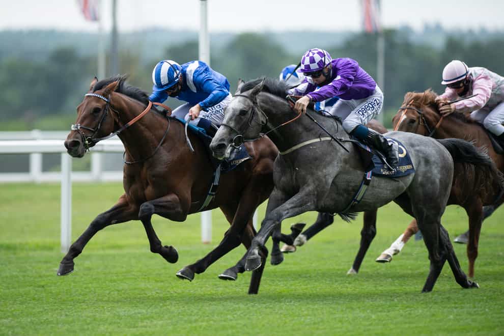 Hukum (far side) defied his inexperience in the King George V Handicap