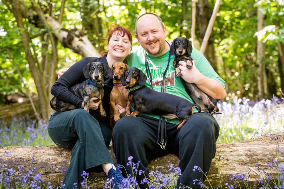 Sausage Dog Hotel starts fundraiser to keep running throughout Covid-19 crisis