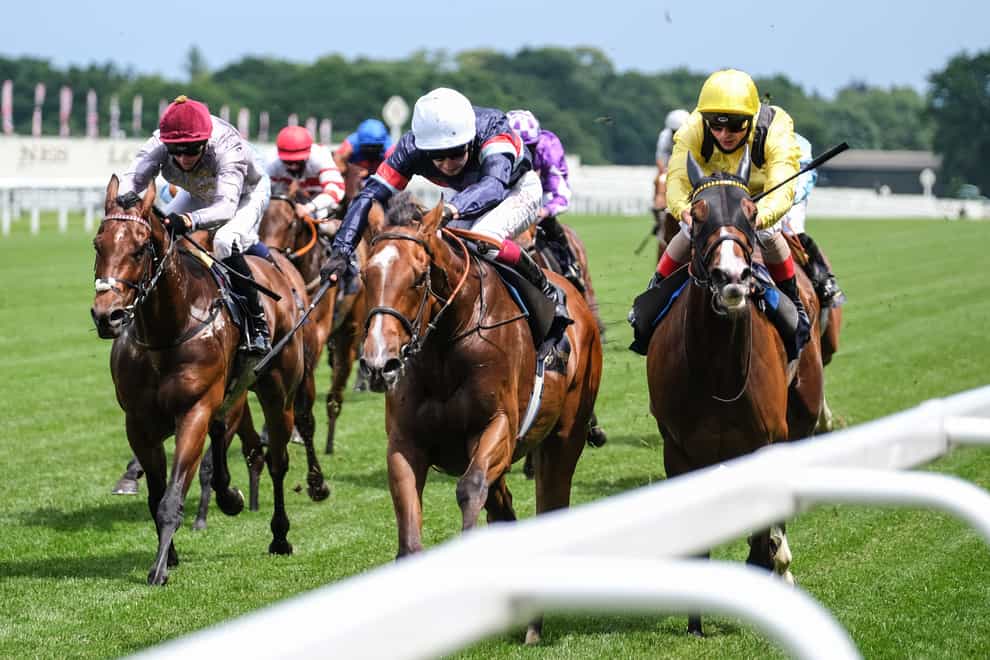 Sir Busker (white cap) could head to Glorious Goodwood following his victory at Royal Ascot