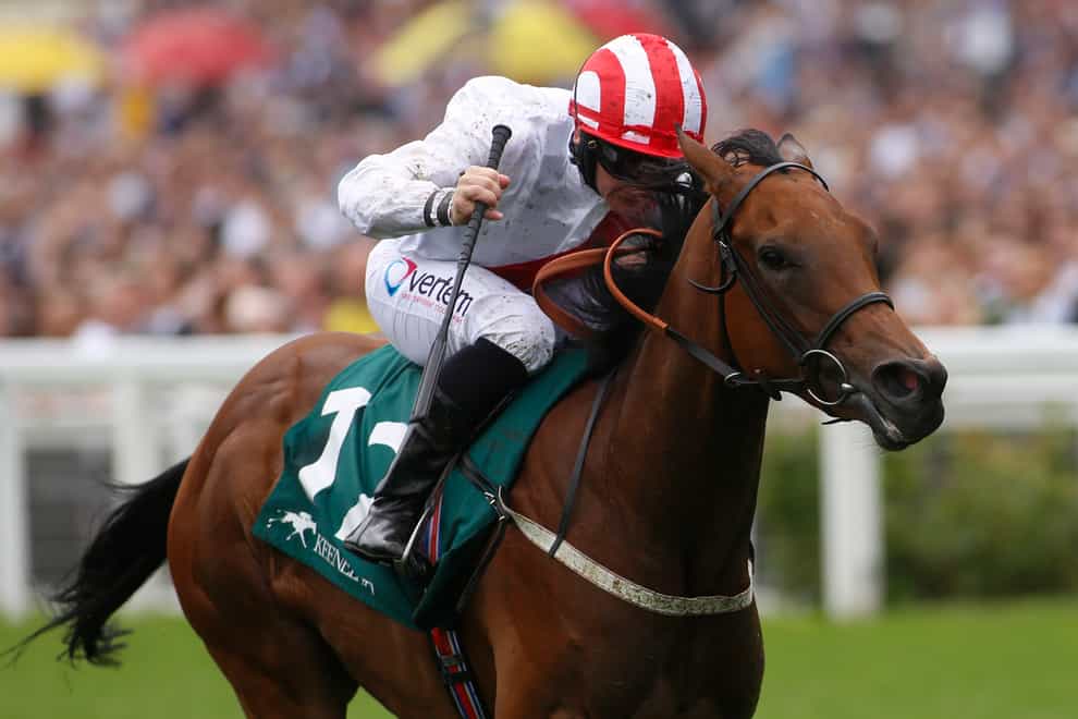 Under The Stars is the likely favourite for the feature race at Haydock on Thursday