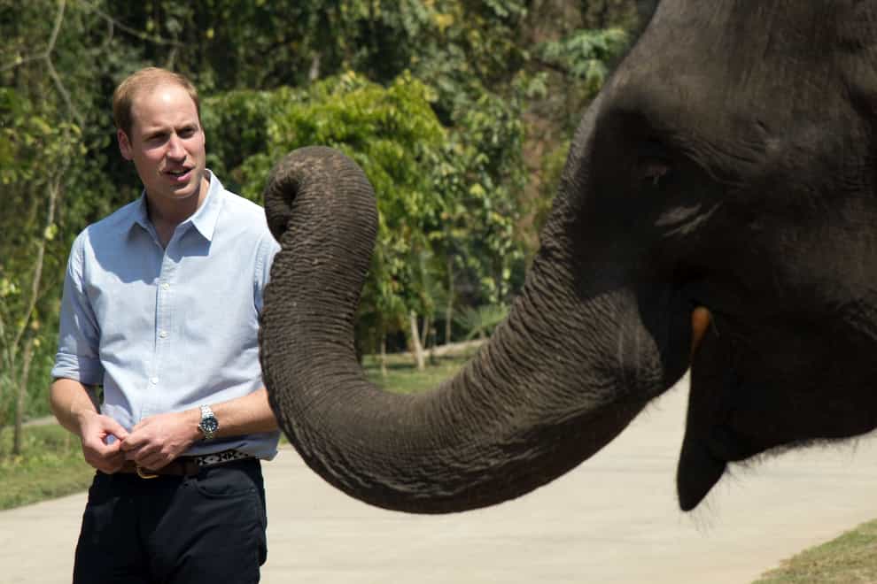 The Duke of Cambridge has praised the Financial Action Task Force for its report on the illegal wildlife trade