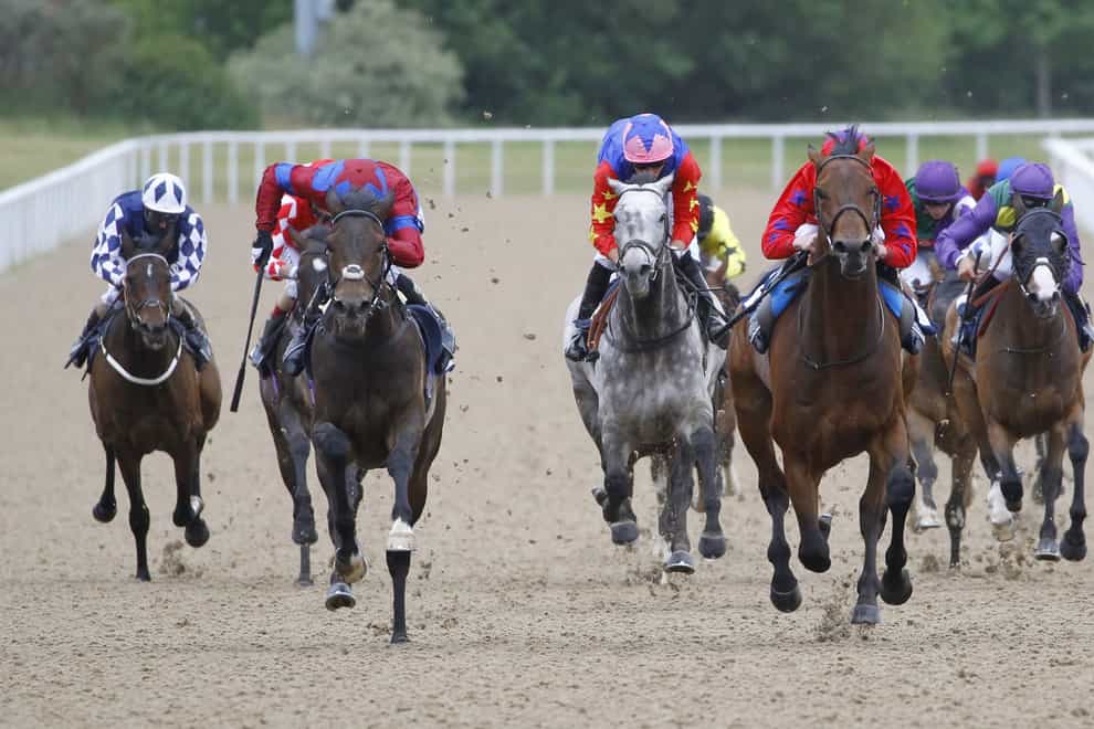 Australis (front, second right) heads the betting for the Northumberland Plate at Newcastle on Saturday