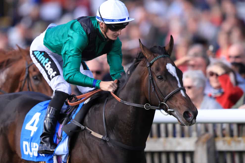 Limato will bid for a repeat victory in the Betway Criterion Stakes at Newmarket on Saturday