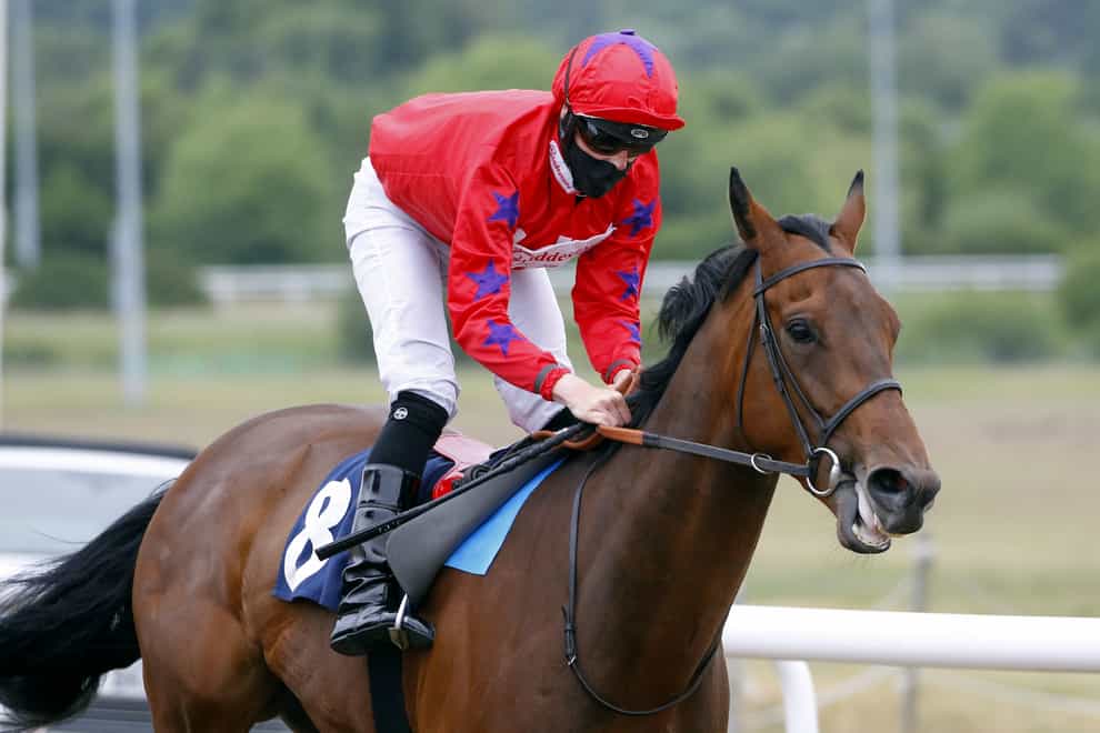 Australis is favourite for the Northumberland Plate
