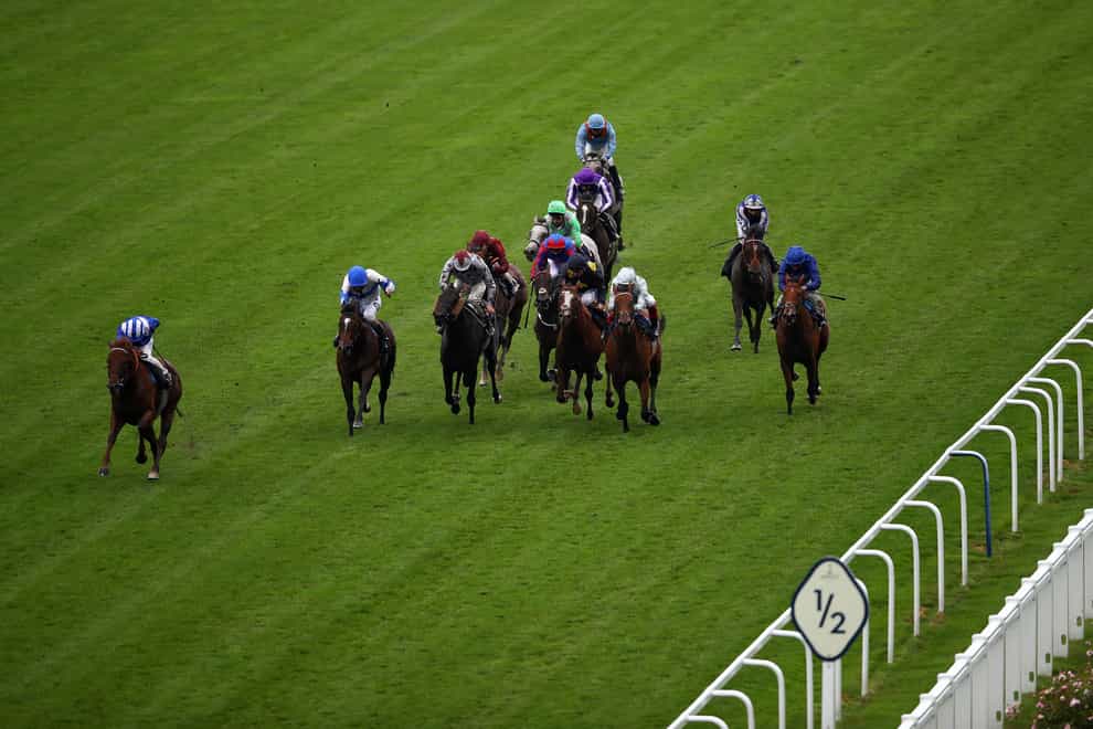 Ropey Guest (left) heads to Newmarket after finishing fourth to Molatham in the Jersey Stakes at Royal Ascot
