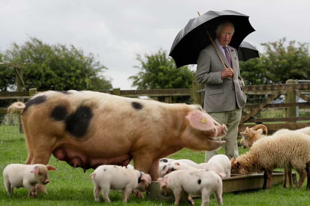 Charles at Cotswold Farm Park