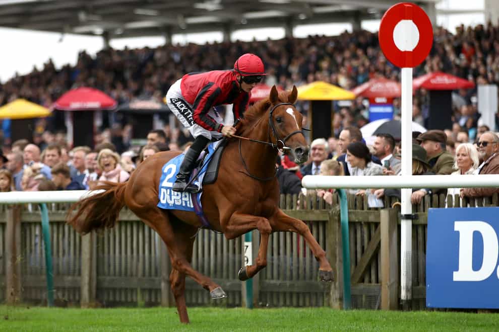 Max Vega impressed in winning the Zetland Stakes at Newmarket
