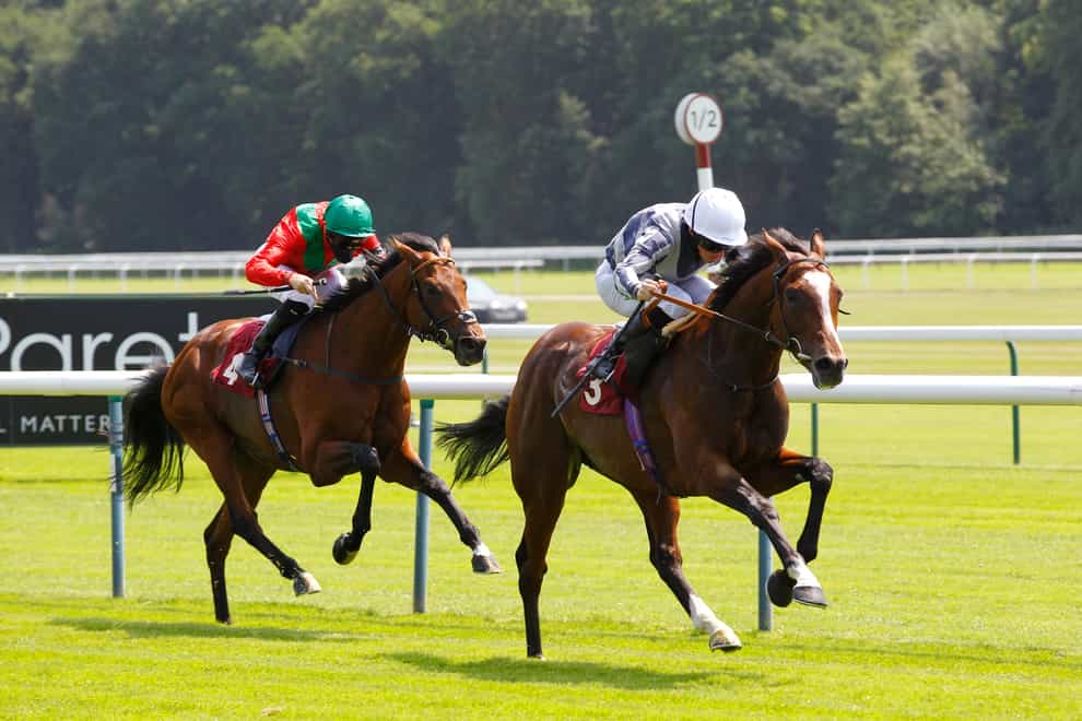 Highest Ground (right) could bid to extend his unbeaten record in the Dante Stakes at York
