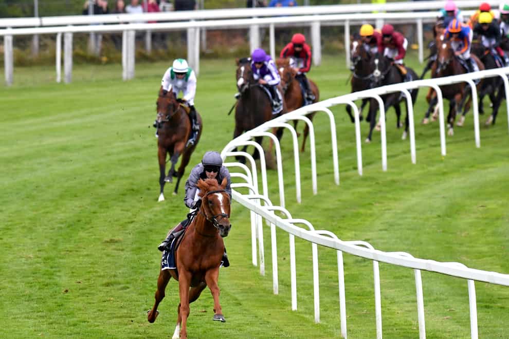 Serpentine led the field a merry dance at Epsom
