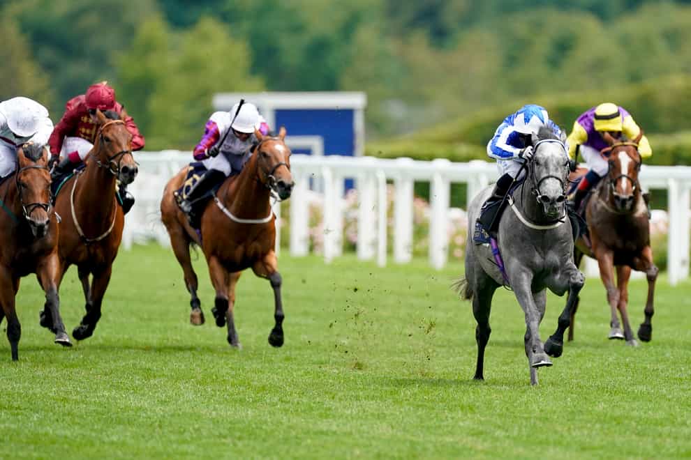 Art Power (grey) looks a top-class sprinter in the making