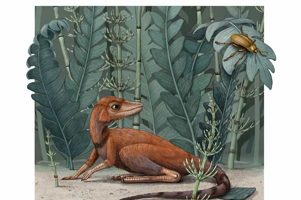 Kongonaphon kely, of dinosaurs and pterosaurs