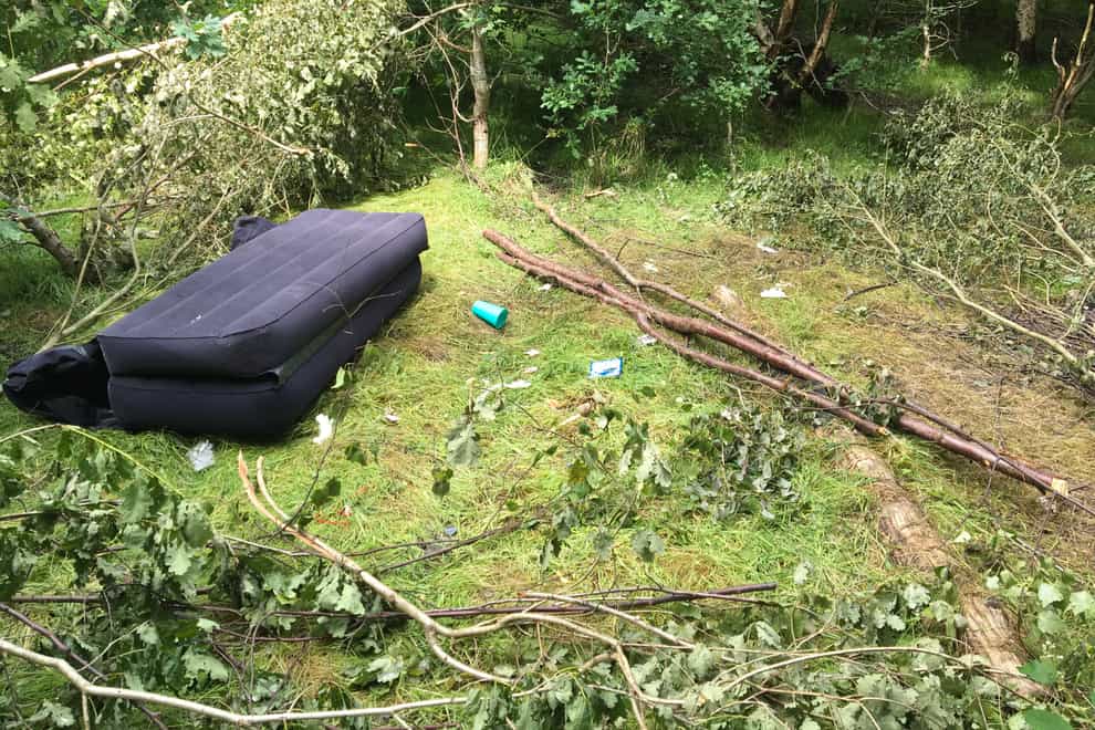 Fly-tipping and tree damage in Hargate Forest, near Tunbridge Wells, Kent