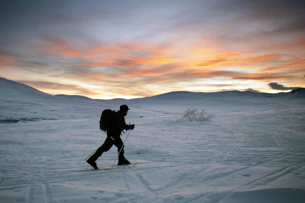Royal Marines train within the Arctic Circle