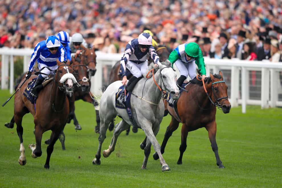 Lord Glitters (grey) returns to Ascot, the scene of his victory in the Queen Anne Stakes at last year's Royal meeting