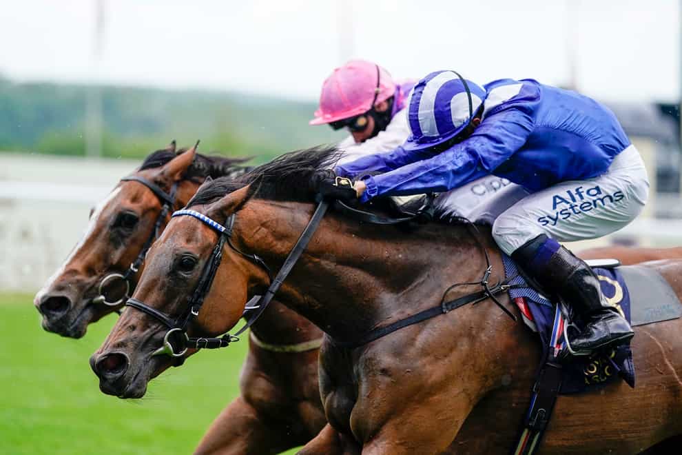 Nazeef (near side) gets up close home to beat Agincourt at Royal Ascot and the pair meet again in the Falmouth Stakes at Newmarket