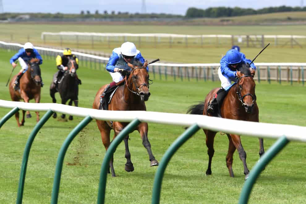 Master Of The Seas (right) makes a winning debut and now steps up in class in the Superlative Stakes at Newmarket