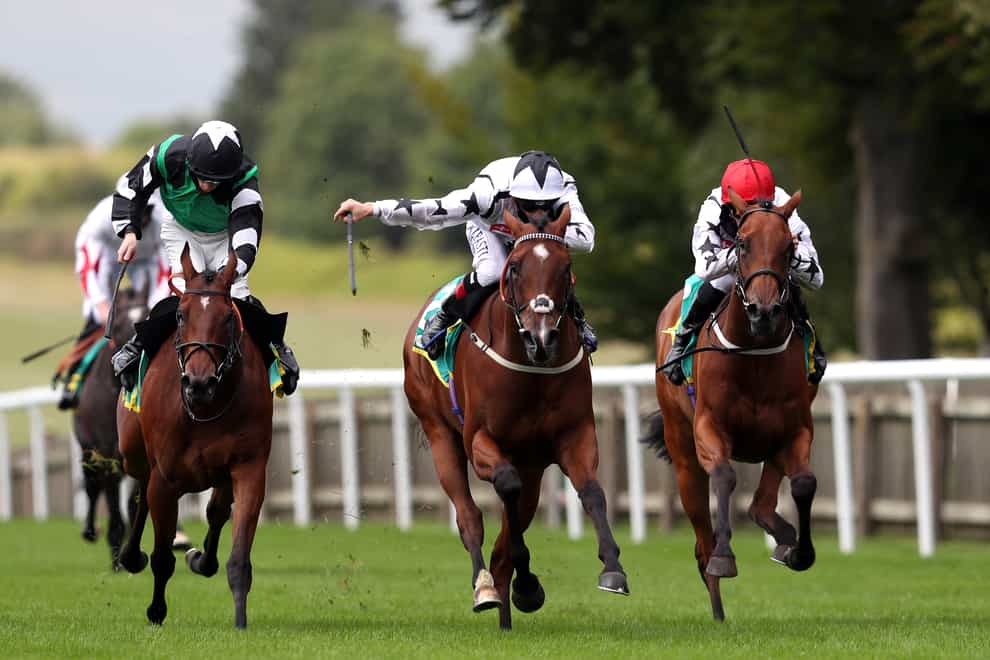 Dandalla (centre) took the honours at Newmarket