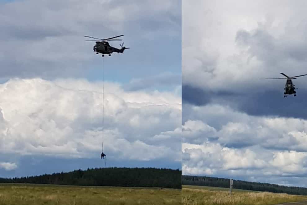 RAF rescues stranded cow