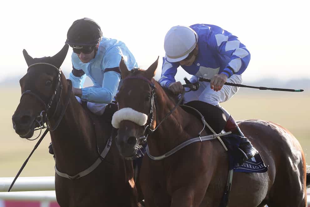 Sea the Lion (right) made a promising comeback at Leopardstown