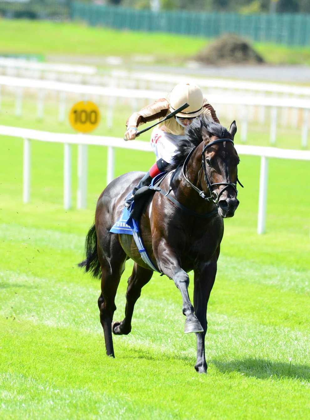 A’Ali and jockey Colin Keane winning the Holden Plant Rentals Sapphire Stakes at the Curragh