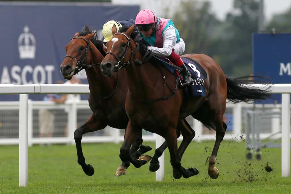 Enable (right) on her way to winning last year's King George