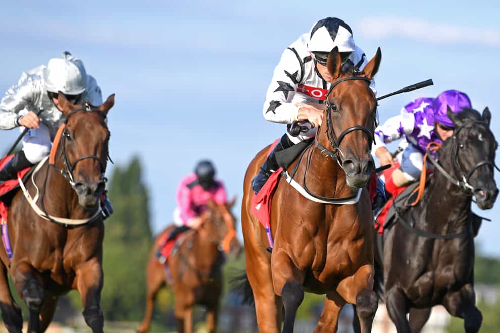 Fev Rover (centre) was a decisive winner of the Star Stakes at Sandown