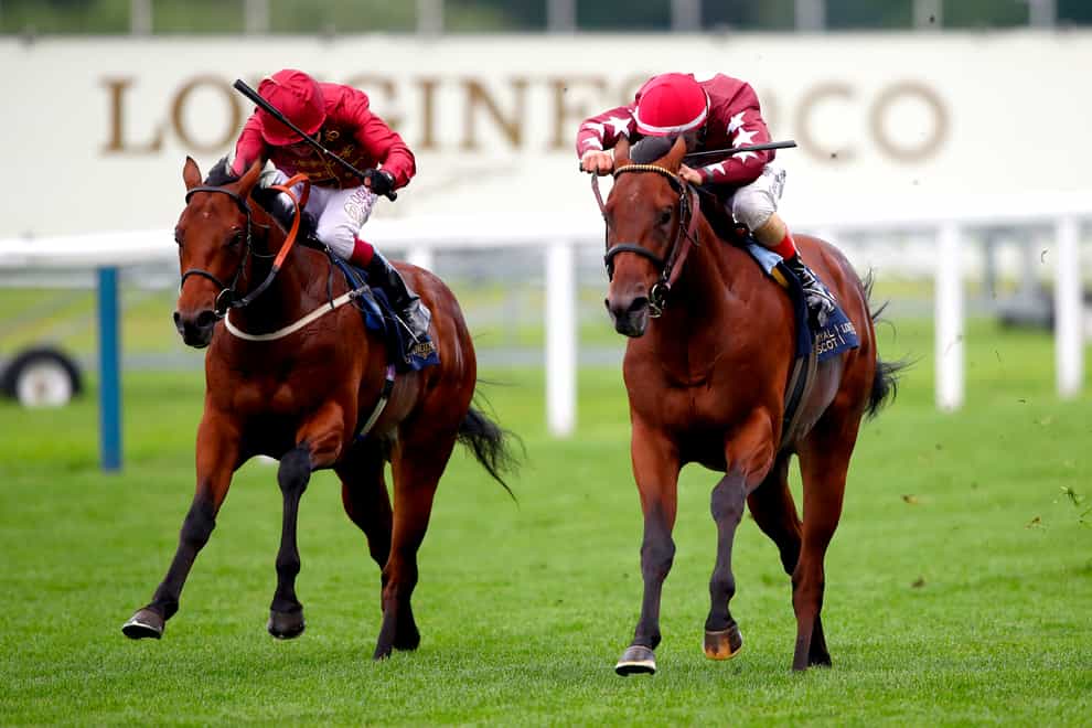 Golden Pal (right) was narrowly beaten by The Lir Jet at Royal Ascot